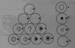 2010�����ɾ�����������Լȡ �������