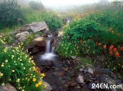 Relish the Moment Ʒζ����