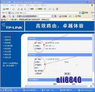 TP-LINK WAN��״̬����ʾ��ԭ���